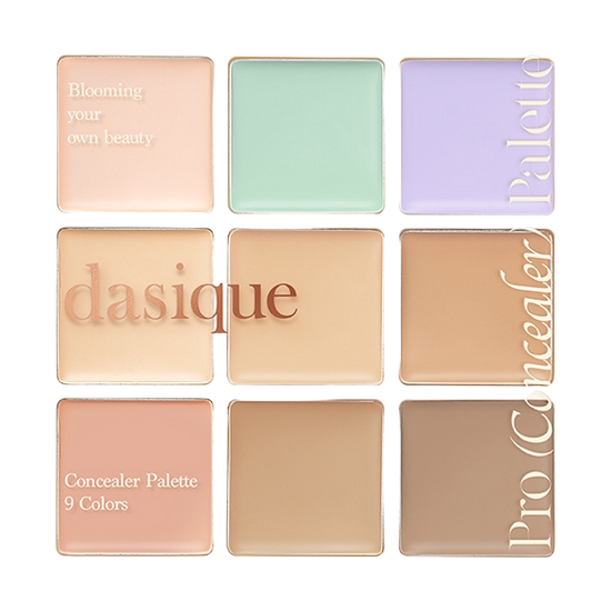 프로 컨실러 팔레트